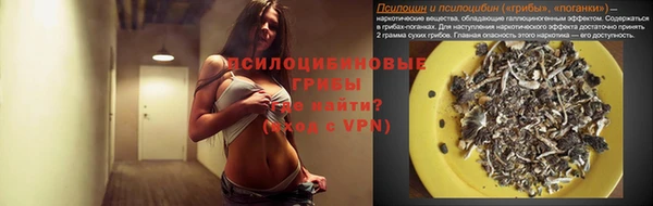 скорость Баксан