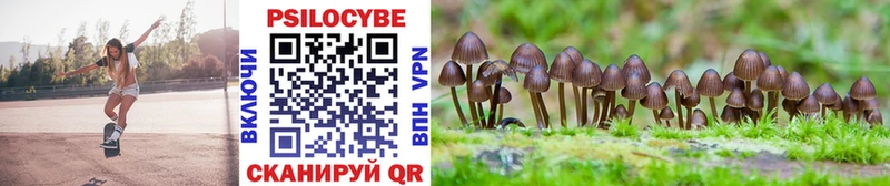 Галлюциногенные грибы Cubensis Калининец